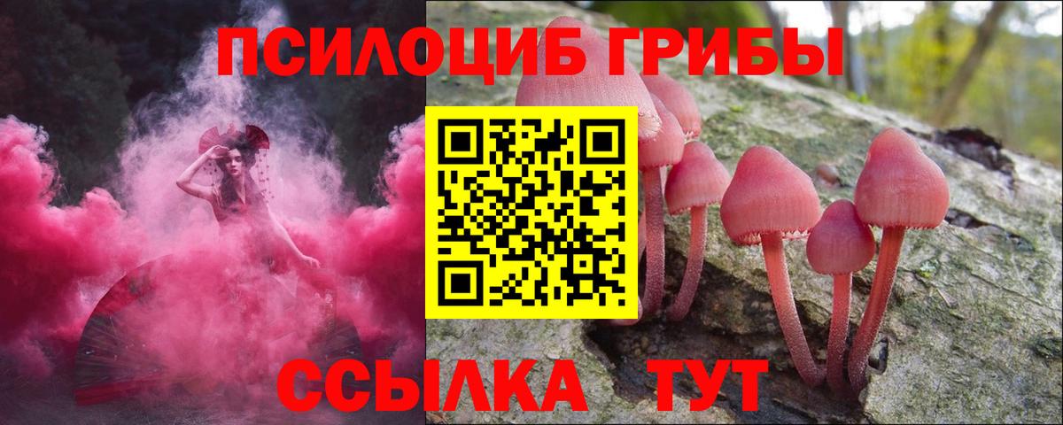 Галлюциногенные грибы мухоморы  Вход с VPN  Калининград  Галлюциногенные грибы мицелий 